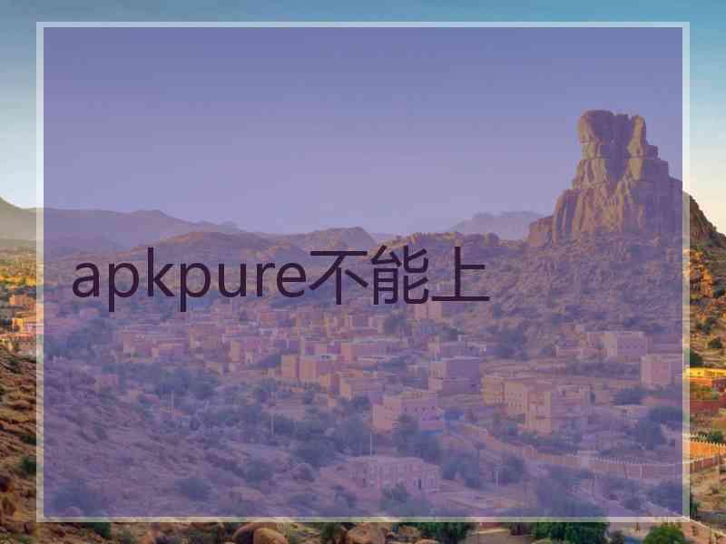 apkpure不能上