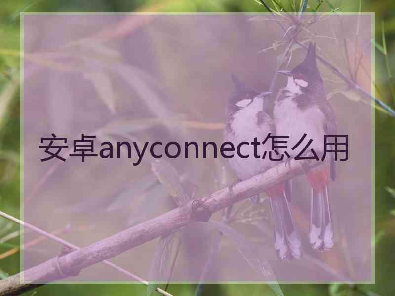 安卓anyconnect怎么用