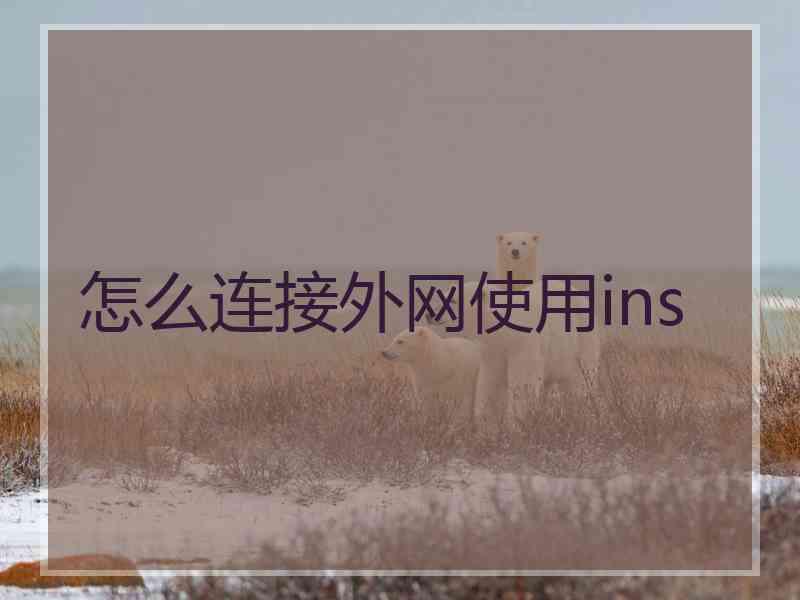 怎么连接外网使用ins
