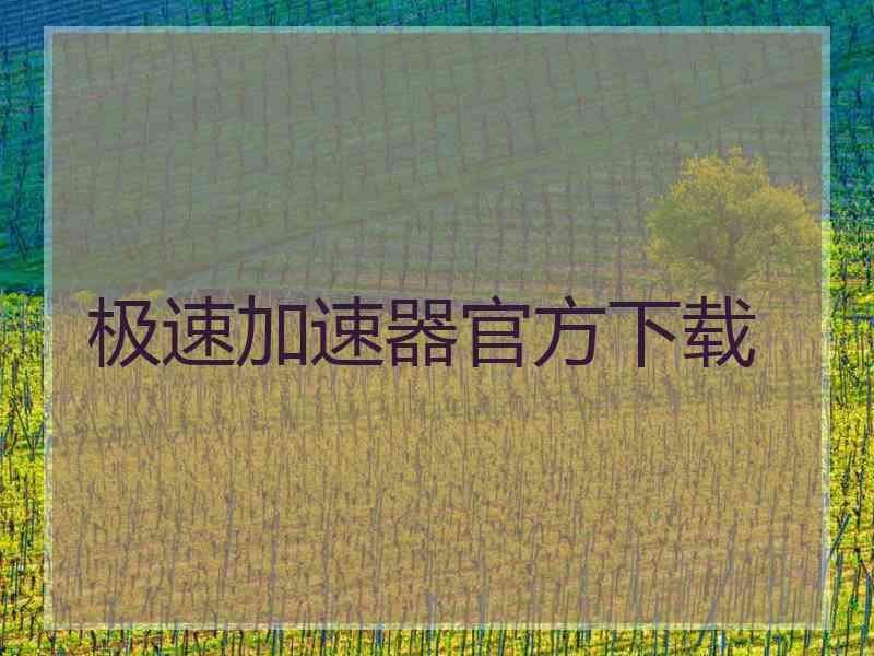 极速加速器官方下载