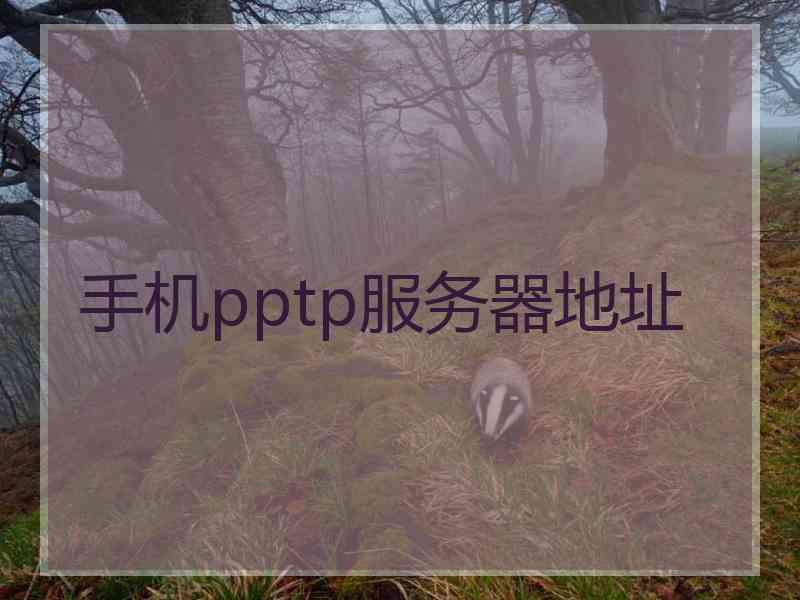 手机pptp服务器地址