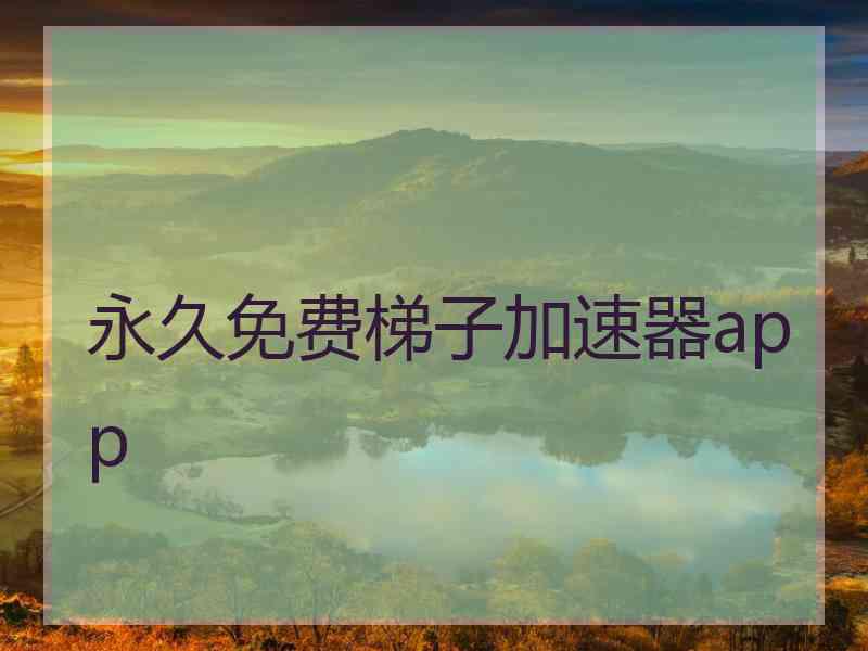 永久免费梯子加速器app
