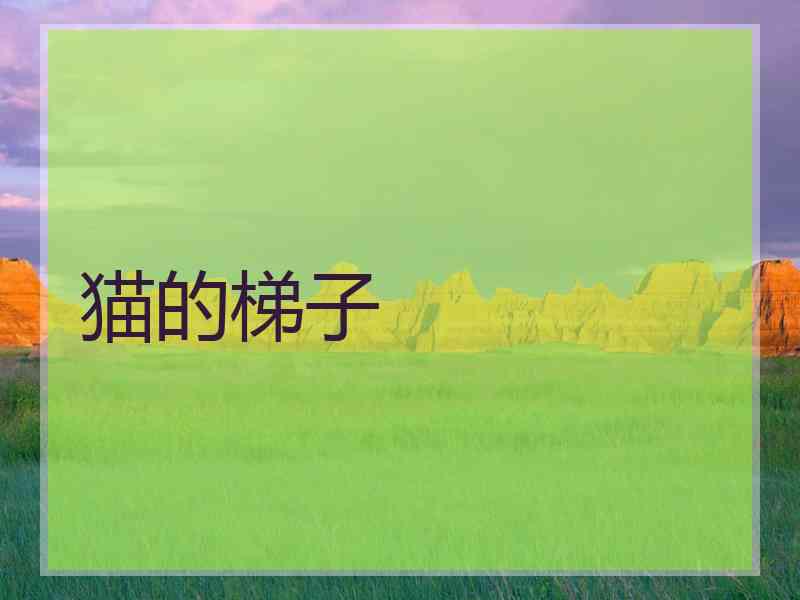 猫的梯子