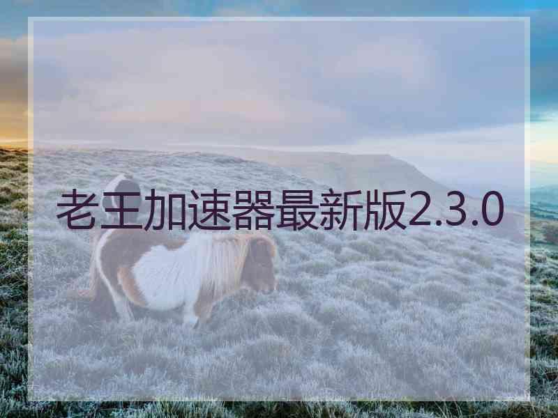 老王加速器最新版2.3.0
