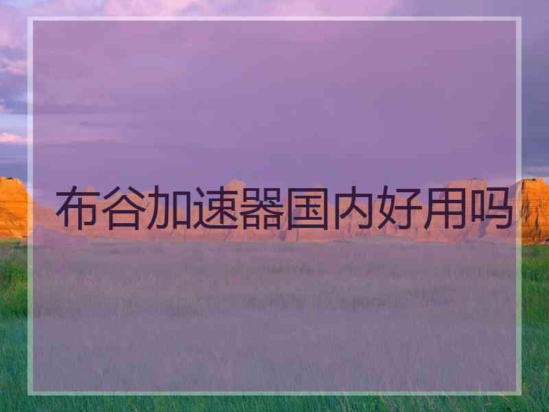 布谷加速器国内好用吗