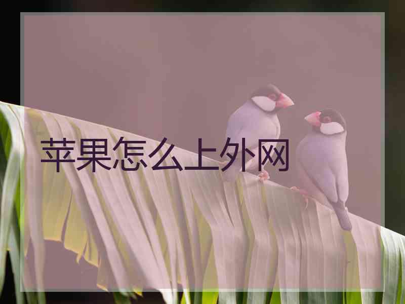 苹果怎么上外网