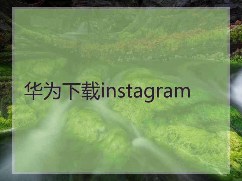 华为下载instagram