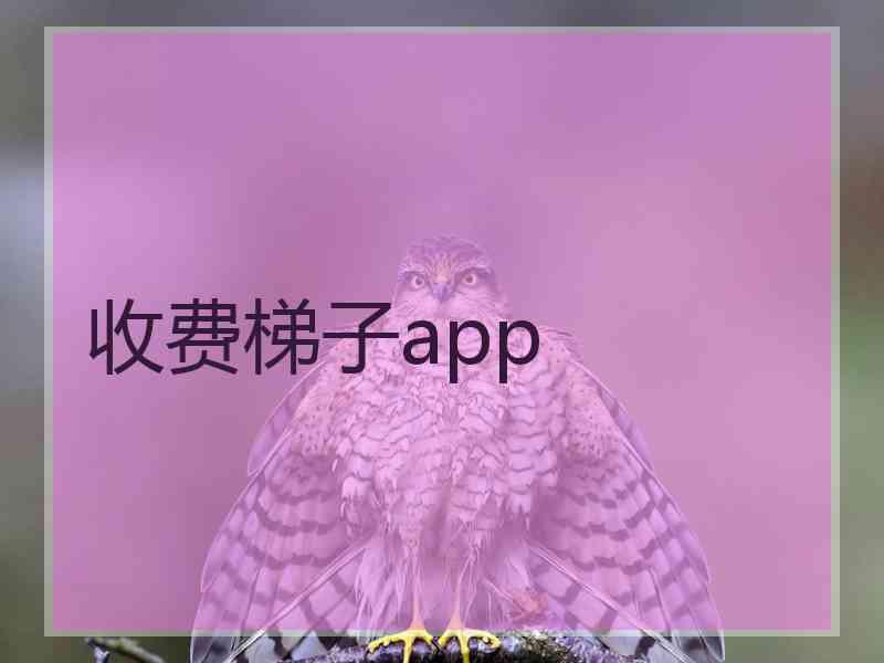 收费梯子app