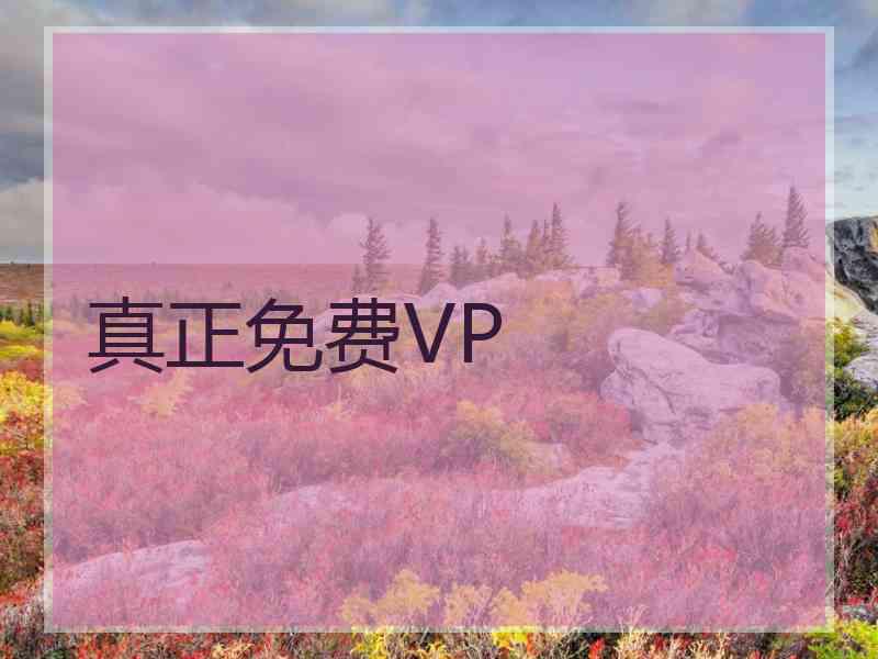真正免费VP