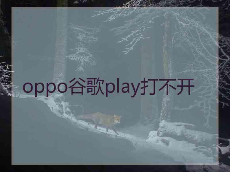 oppo谷歌play打不开