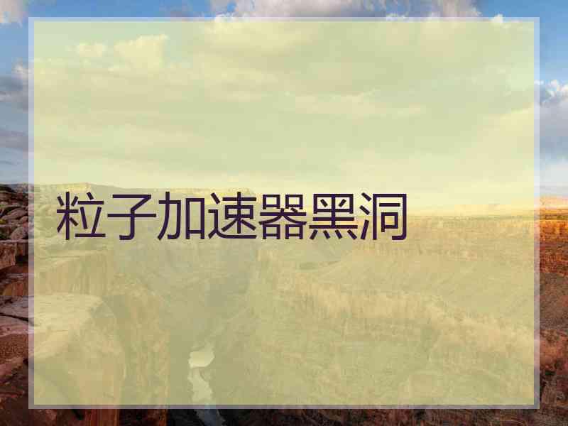 粒子加速器黑洞