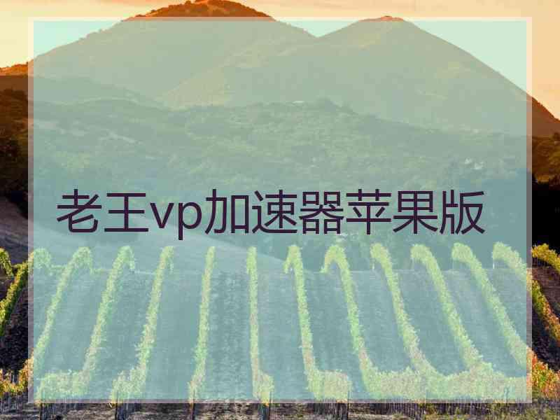 老王vp加速器苹果版