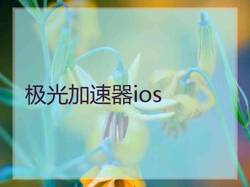极光加速器ios