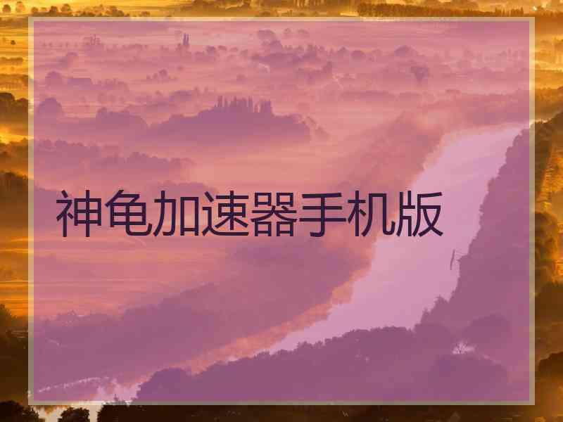 神龟加速器手机版