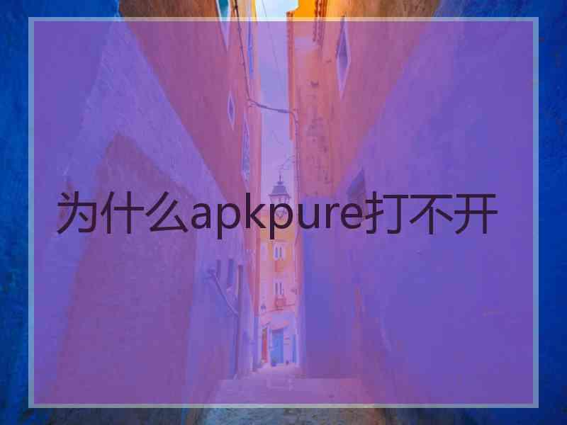 为什么apkpure打不开