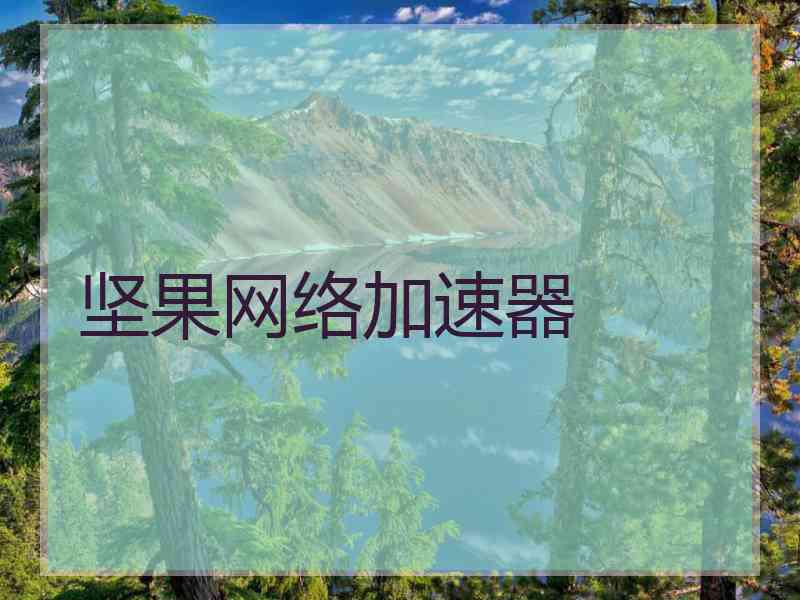 坚果网络加速器