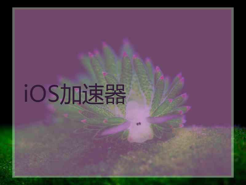iOS加速器