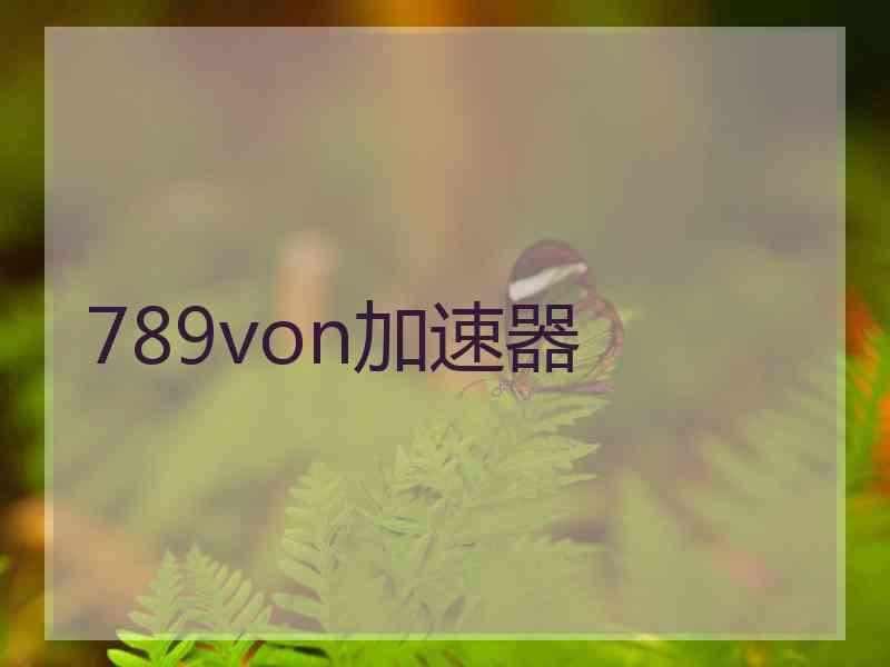 789von加速器