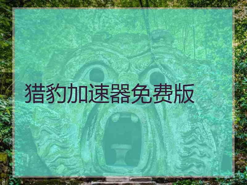 猎豹加速器免费版