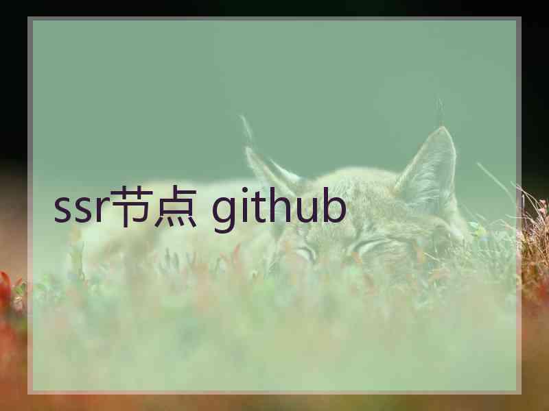 ssr节点 github