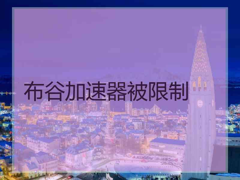 布谷加速器被限制
