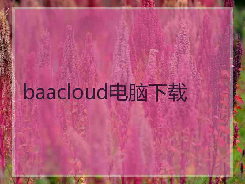 baacloud电脑下载