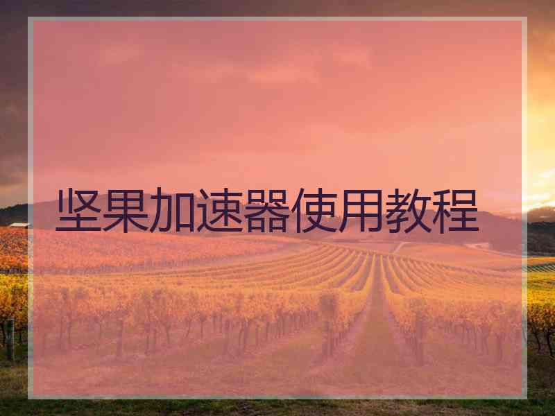 坚果加速器使用教程