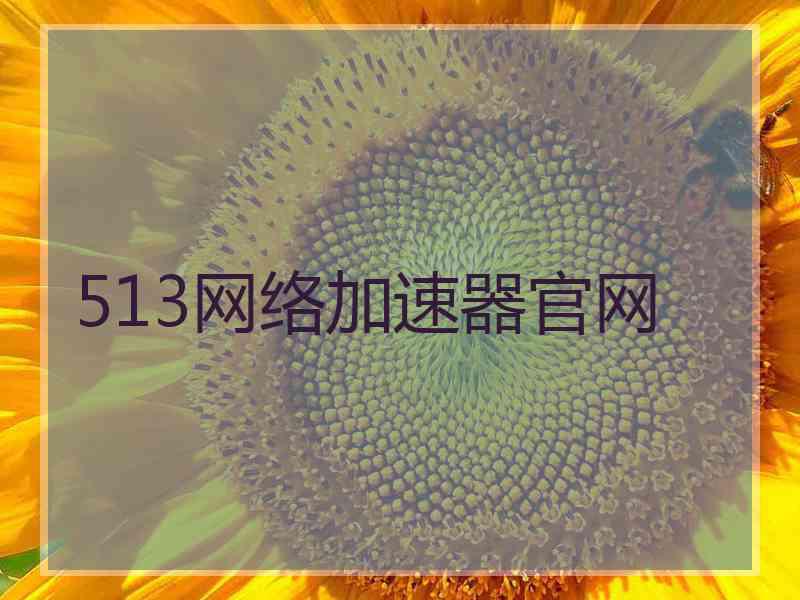 513网络加速器官网