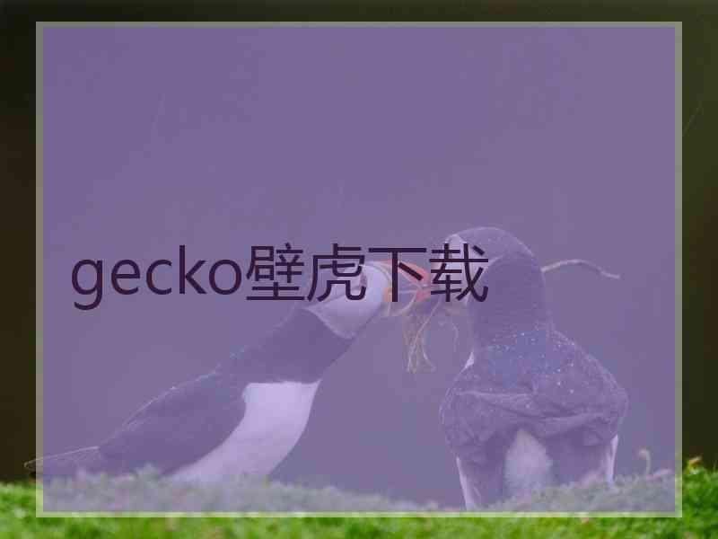 gecko壁虎下载
