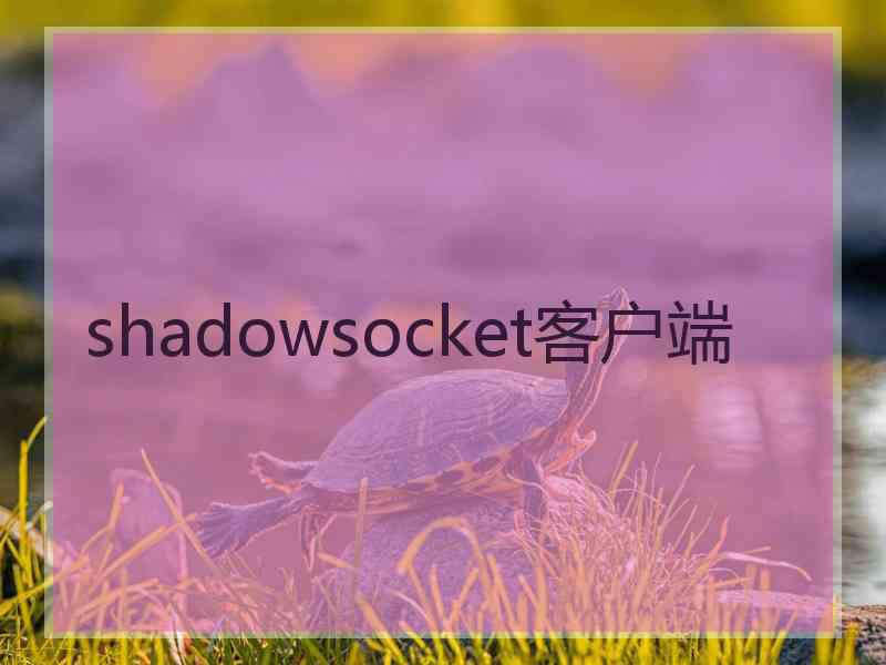 shadowsocket客户端