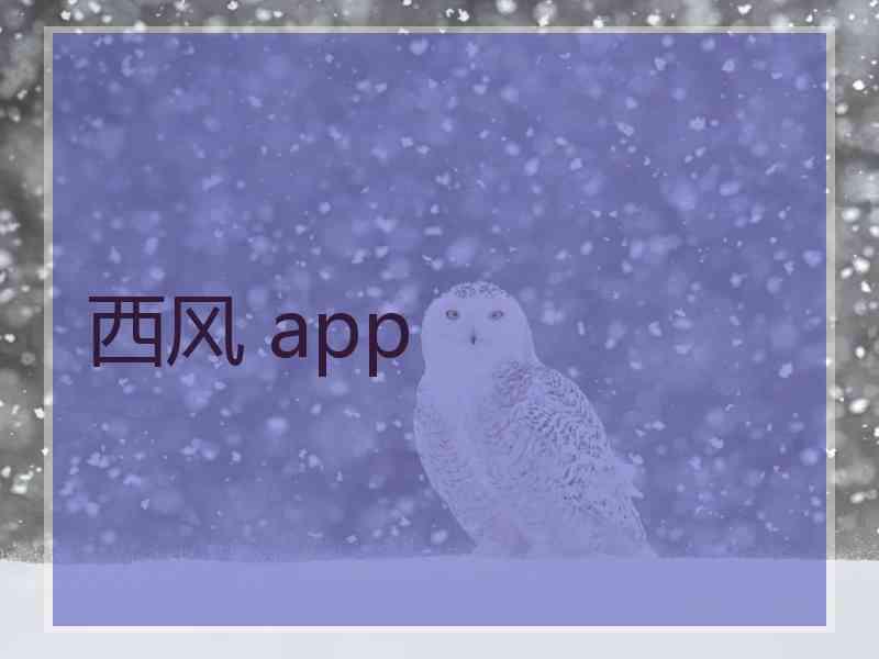 西风 app
