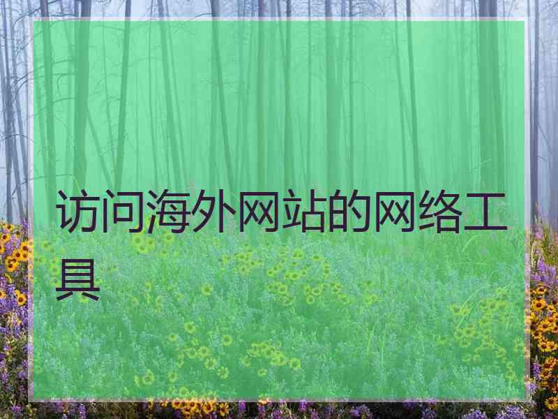 访问海外网站的网络工具