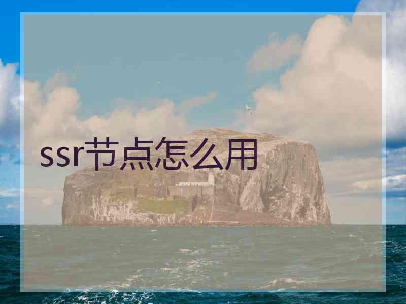 ssr节点怎么用
