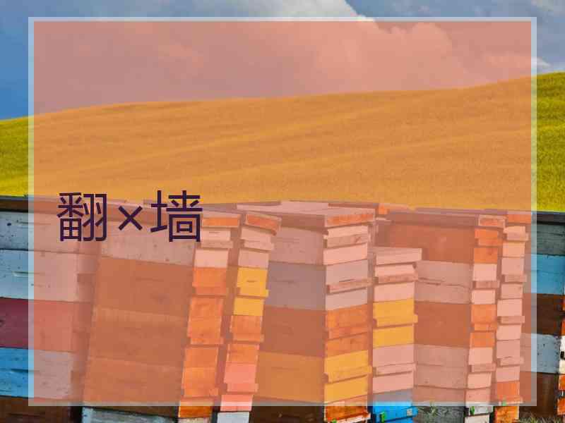 翻×墙