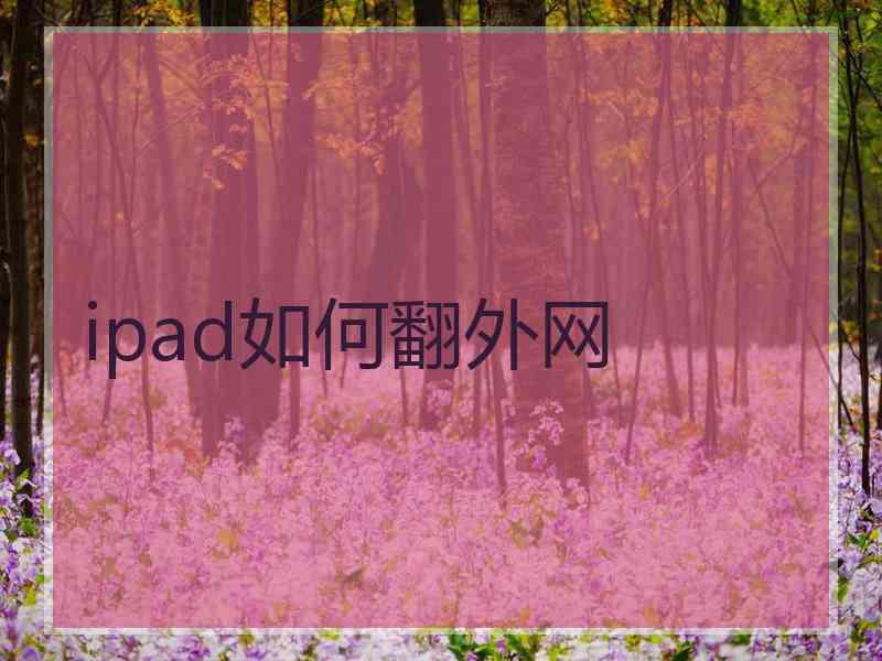 ipad如何翻外网