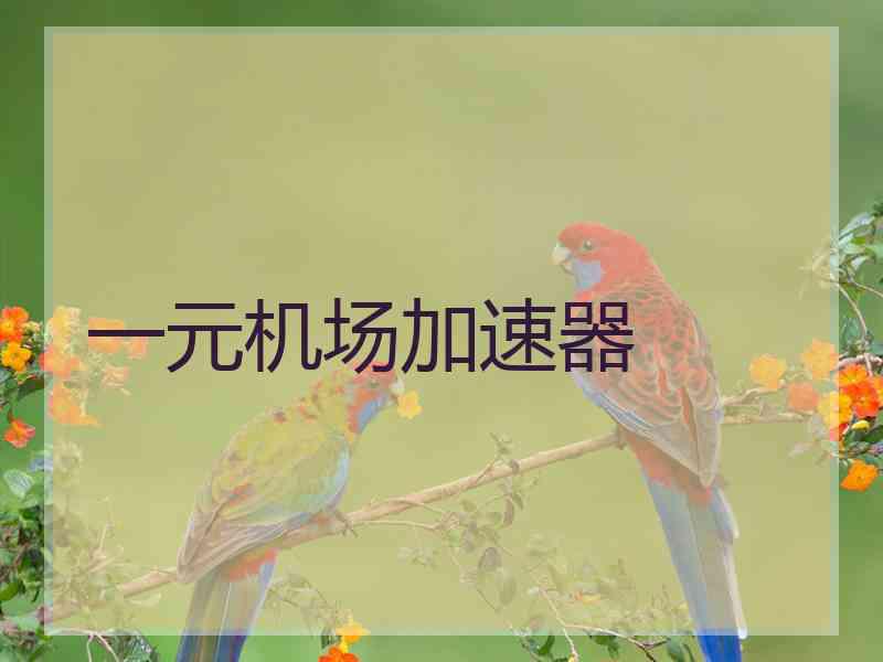 一元机场加速器