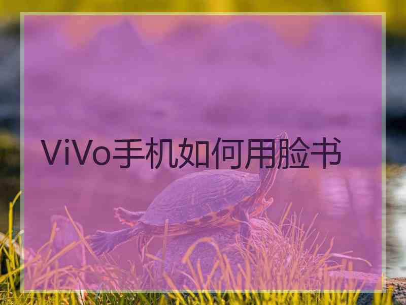 ViVo手机如何用脸书