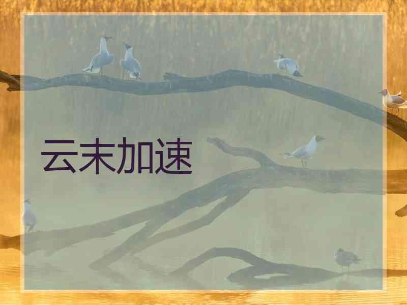 云末加速