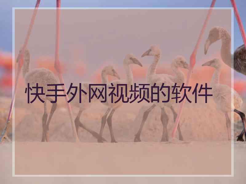 快手外网视频的软件