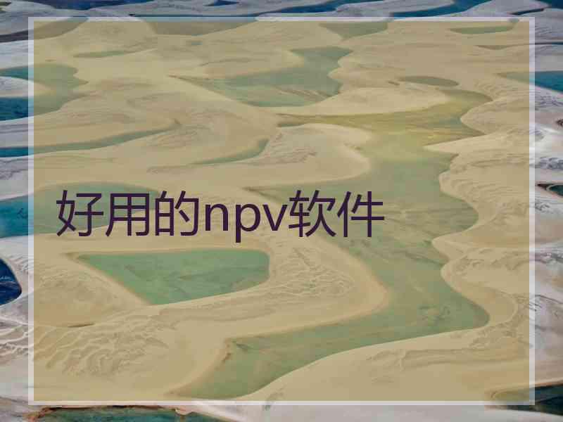 好用的npv软件