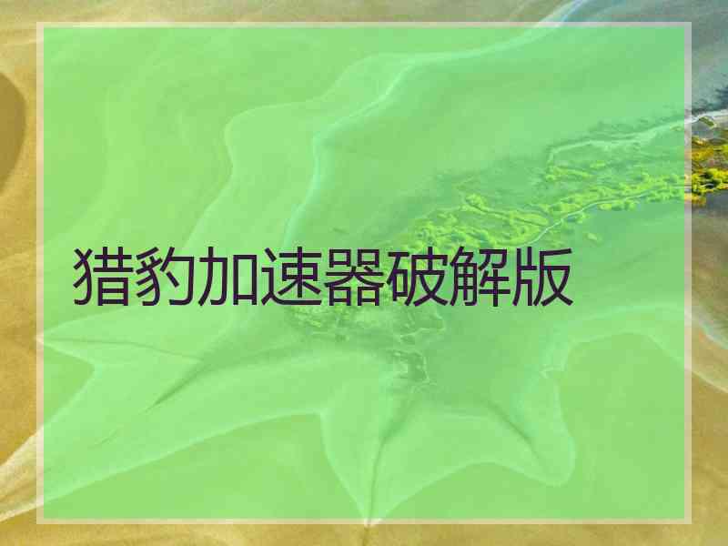 猎豹加速器破解版