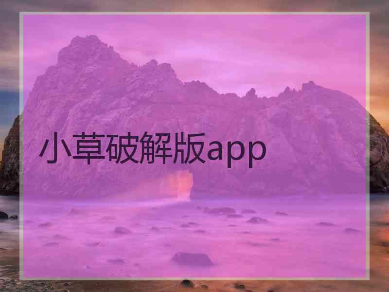 小草破解版app