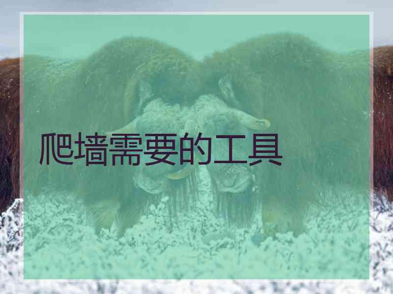爬墙需要的工具