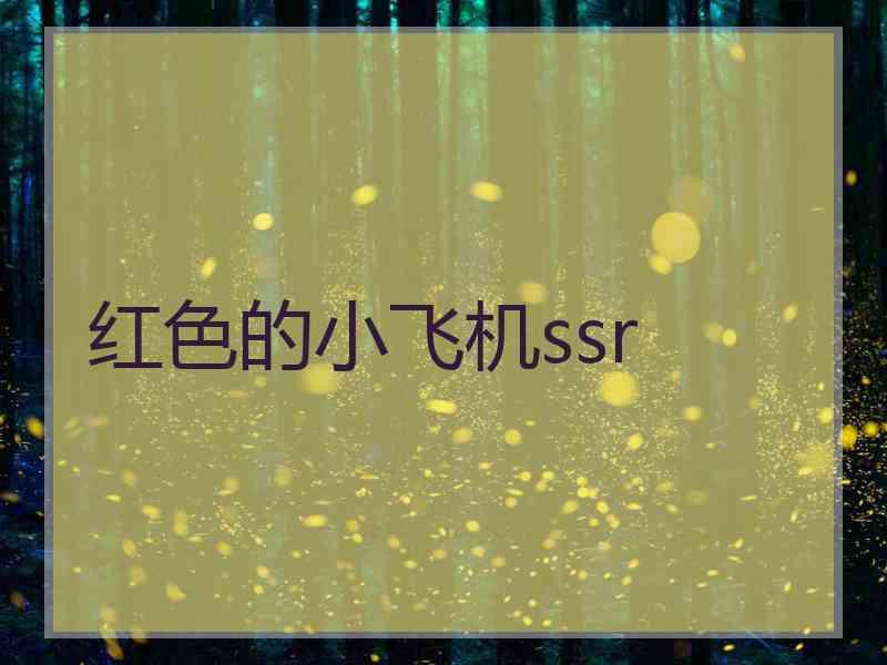 红色的小飞机ssr