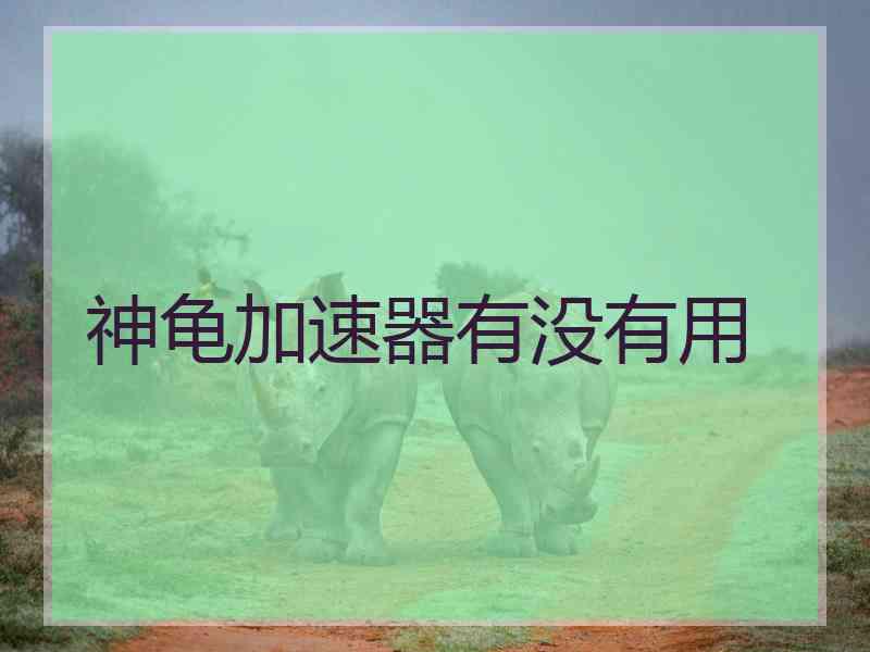 神龟加速器有没有用