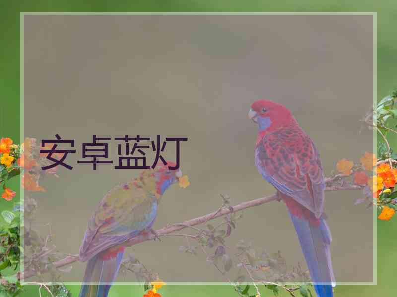 安卓蓝灯