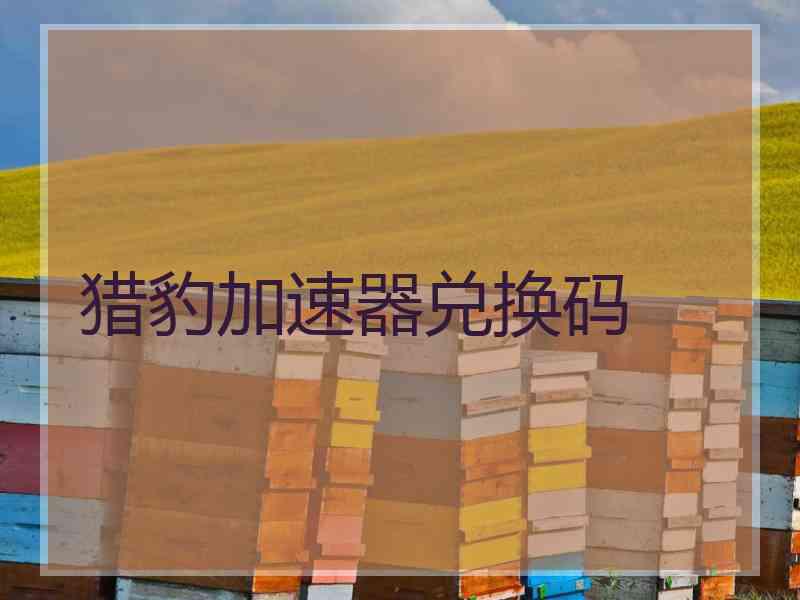 猎豹加速器兑换码