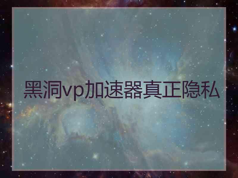 黑洞vp加速器真正隐私