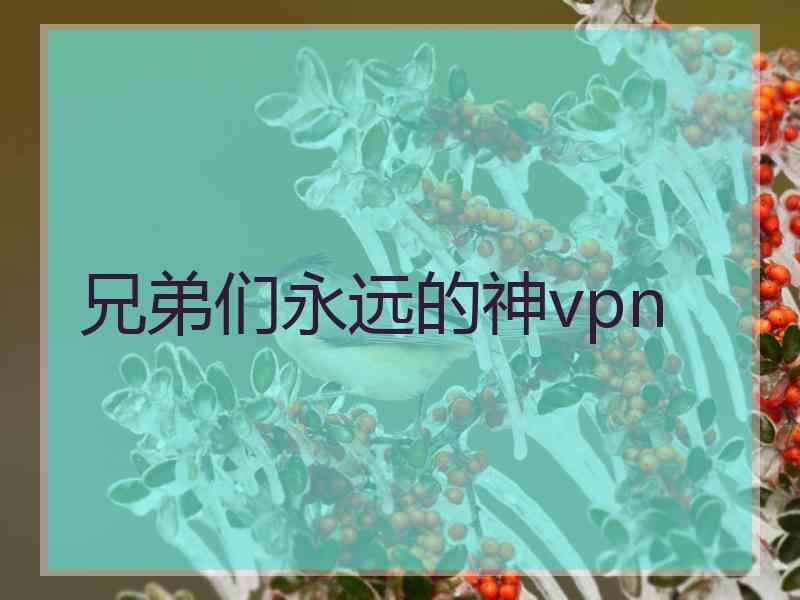 兄弟们永远的神vpn