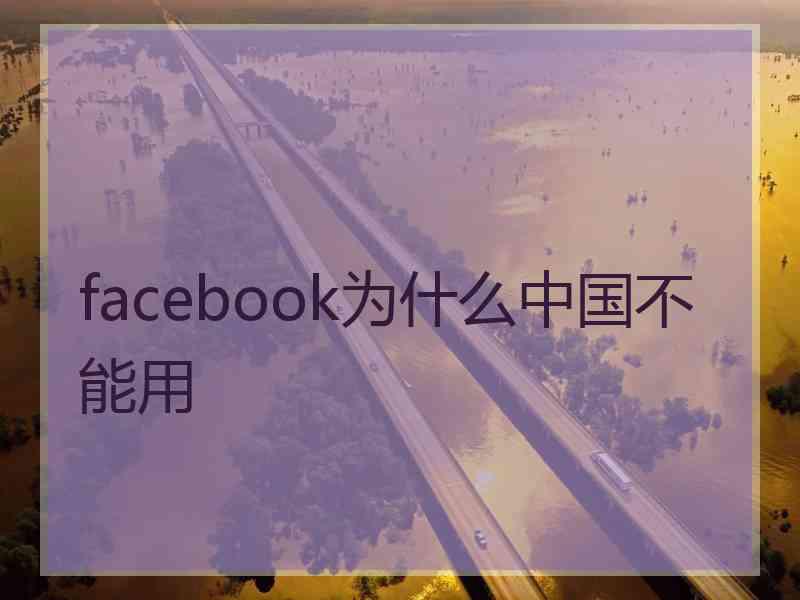 facebook为什么中国不能用